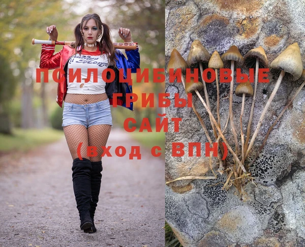 ГАЛЛЮЦИНОГЕННЫЕ ГРИБЫ Абдулино