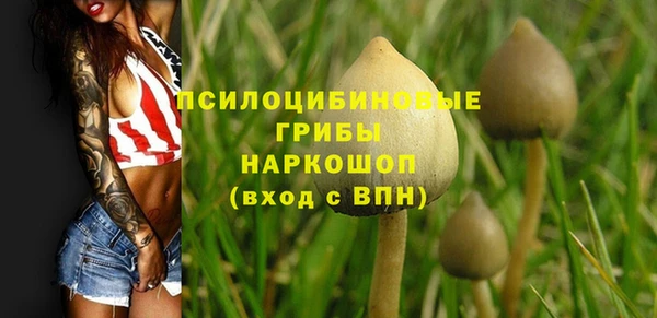 ГАЛЛЮЦИНОГЕННЫЕ ГРИБЫ Абдулино
